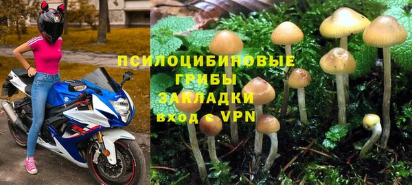 героин Алзамай