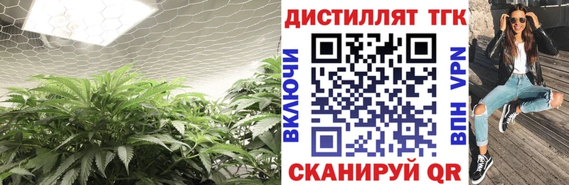 mega онион  Медынь  ТГК концентрат 